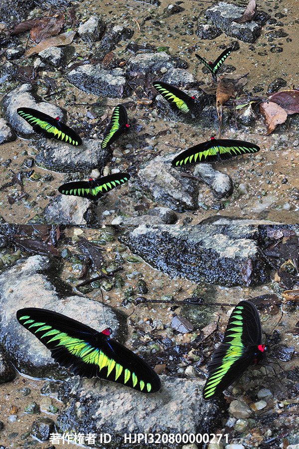 E-M1 Mark3の手持ちハイレゾを使う