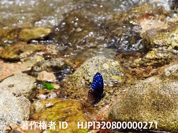 今回の撮影はcovid19の影響で切り上げて東京へ