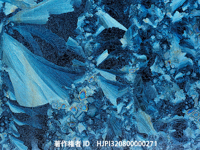 広報こもろ連載　2015年2月号 氷の華