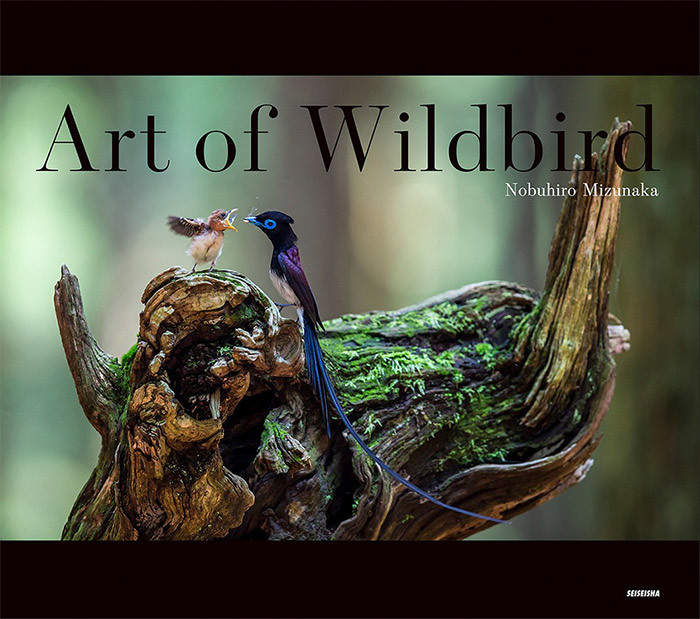 Art of Wildbird