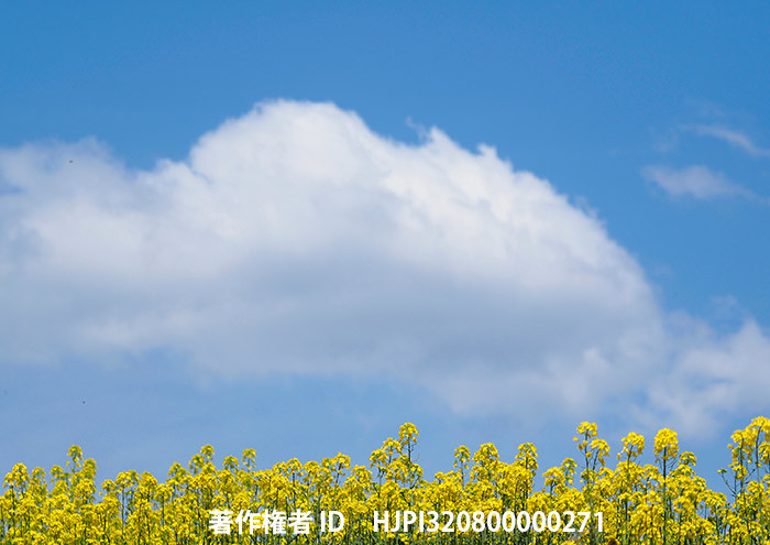 広報こもろ連載　2016年5月号 青空