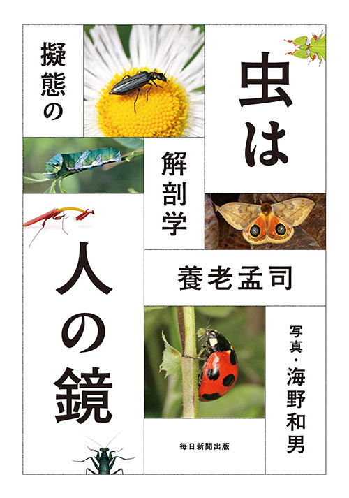 新刊書　「虫は人の鏡　擬態の解剖学」