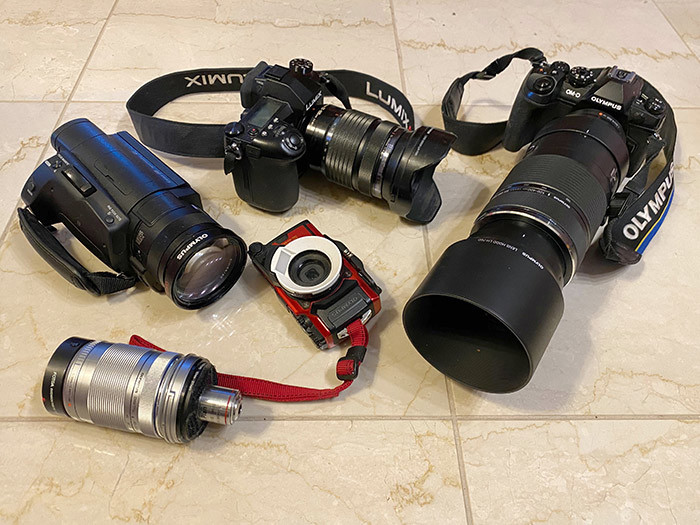 今年使ったカメラたち