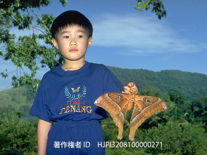 ヘラクレスサン