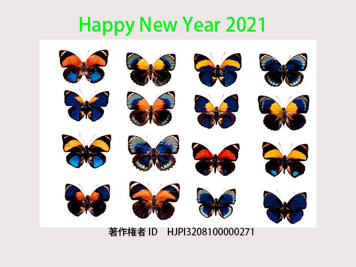 あけましておめでとうございます