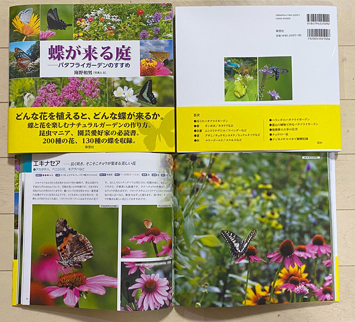 蝶が来る庭: バタフライガーデンのすすめ