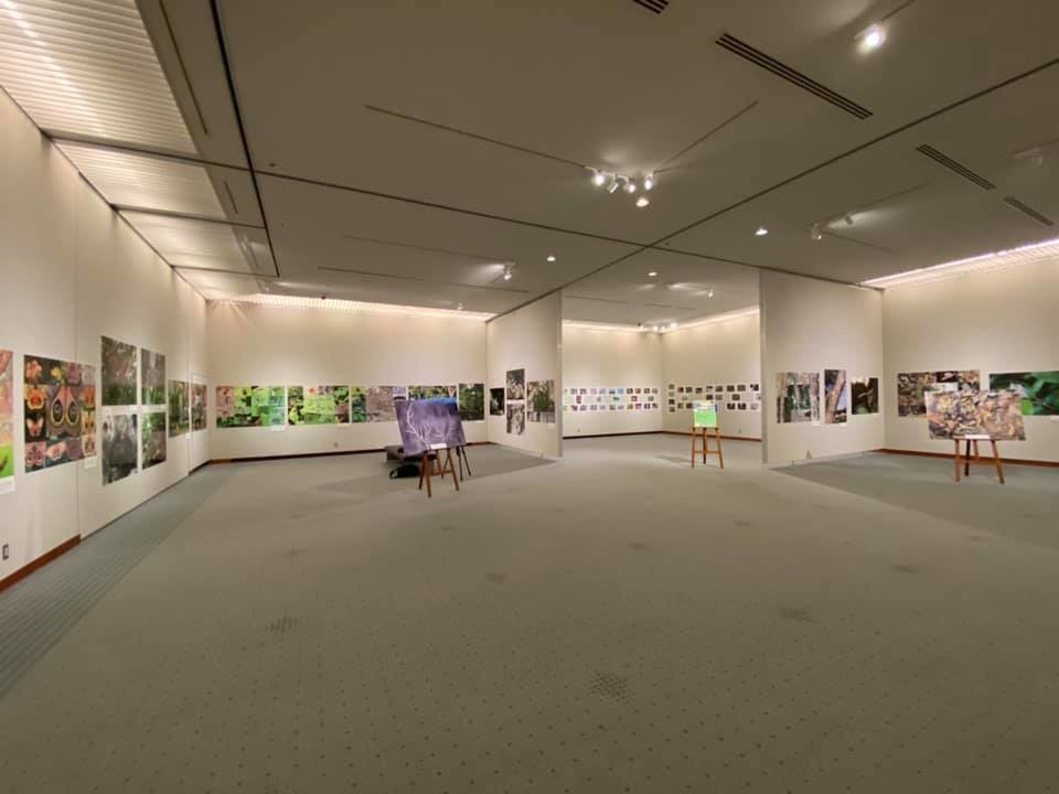 今日から写真展