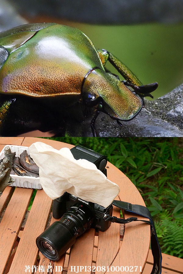 EC20を60mmマクロに装着