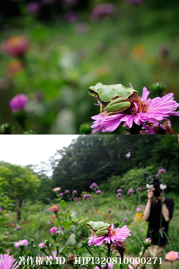 SSPの若手有志が、ぼくの動画を撮るためこもろにやってきた