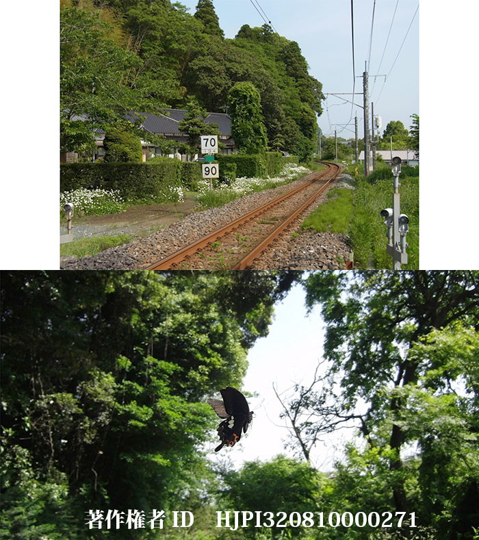 日高敏隆先生との出会い