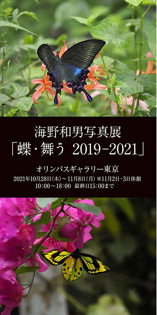 オリンパスギャラリーの飾り付け