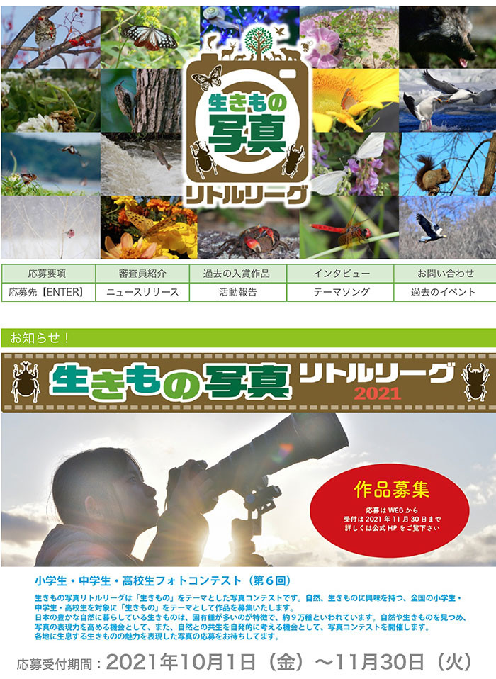 「生きもの写真リトルリーグ」作品募集中です。