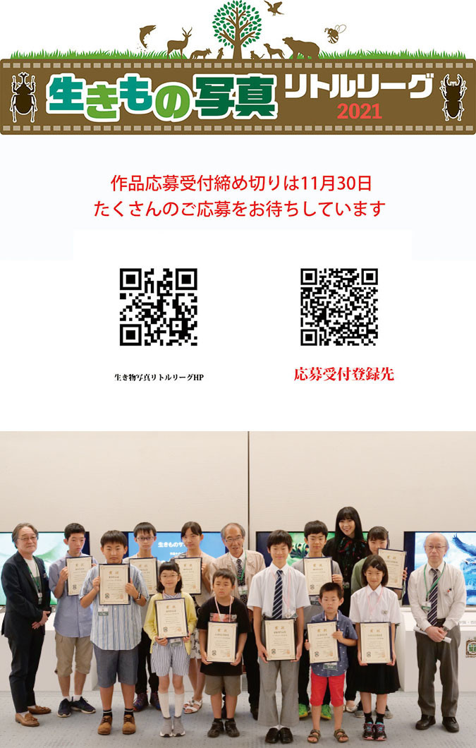 生きもの写真リトルリーグ、応募締め切りまで数日