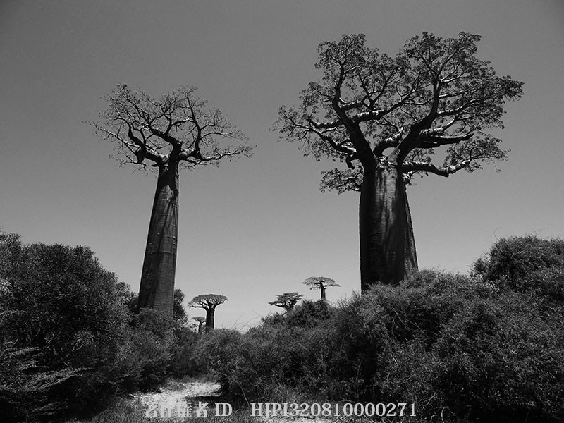 マダガスカル西部の気候