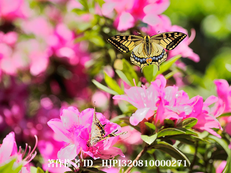 宮崎県総合博物館