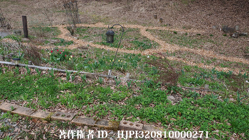 花壇の小道にチップを敷いた