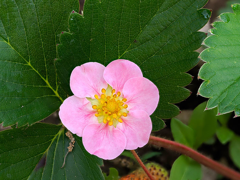 人生で一番忙しい時間
