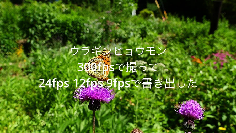 スローモーション動画の製作、書きだし速度の違い