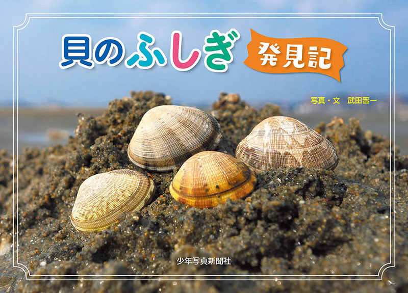 「貝のふしぎ発見記」
