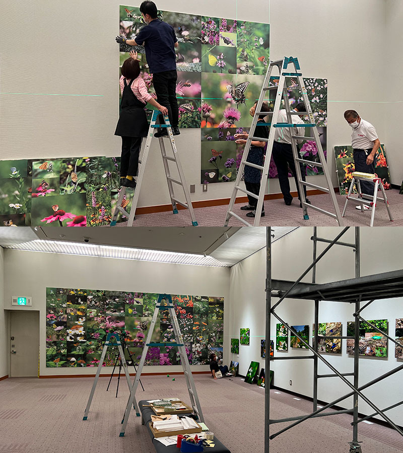 撮影スポット「蝶の壁」の制作