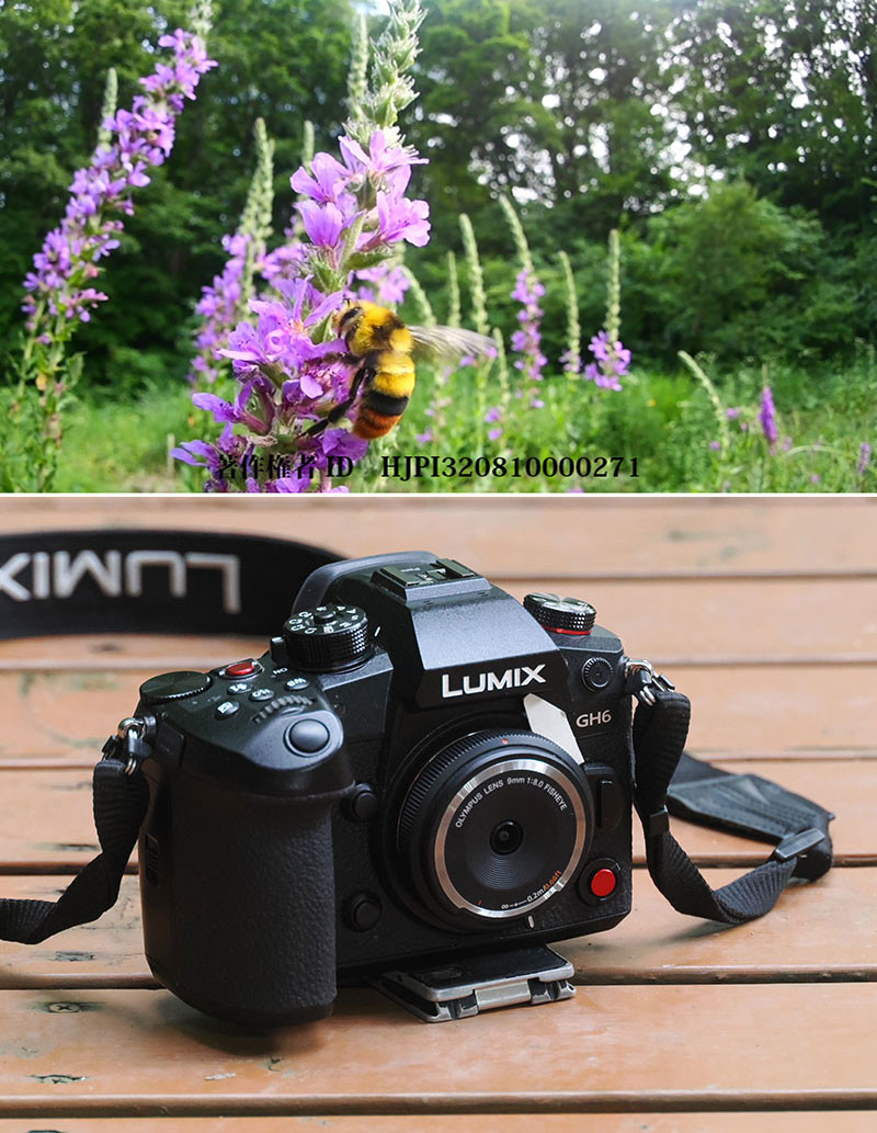 OMデジタル用　9mm f8 フィッシュアイ ボディキャップレンズ BCL-0980