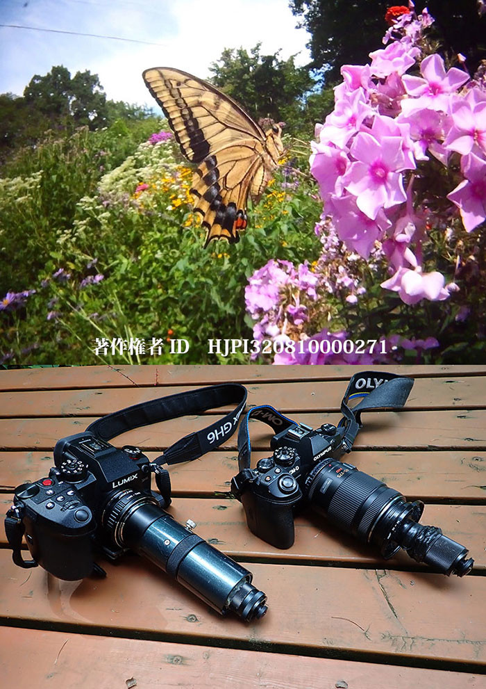 また新しい虫の目レンズを作ってみた