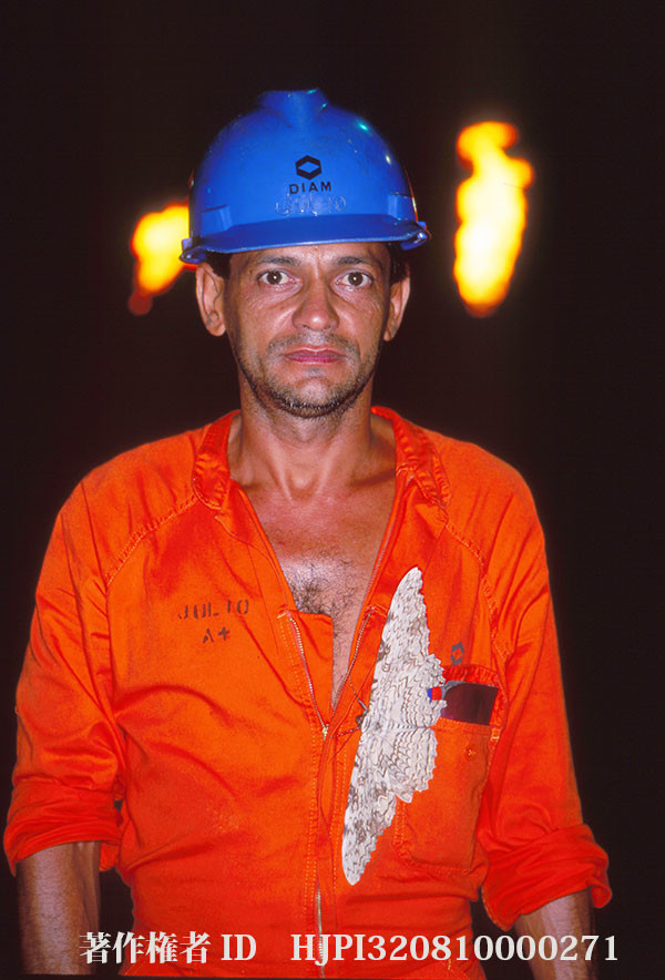 翅の長さ世界一、ナンベイオオヤガ