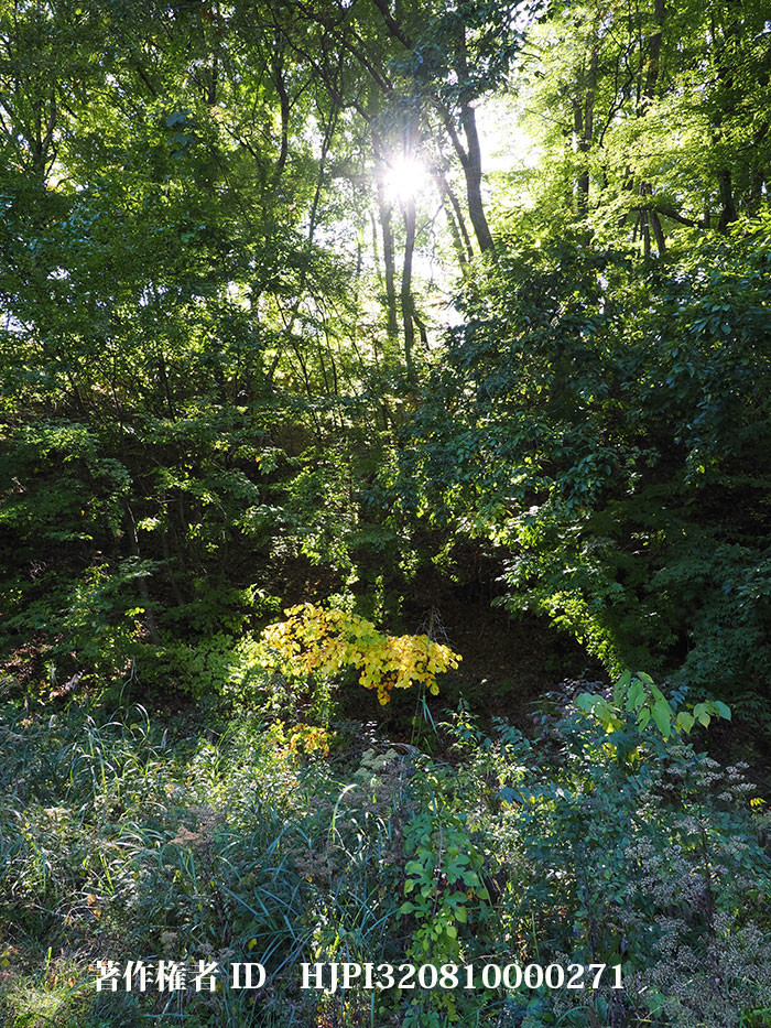 小諸はすっかり秋