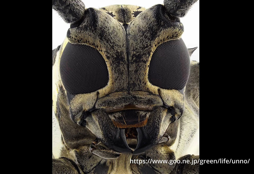 自然写真家にとって大切なこと