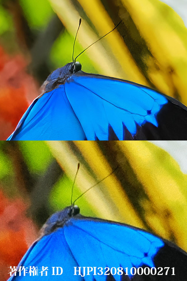 Topaz photoAi を使ってみた