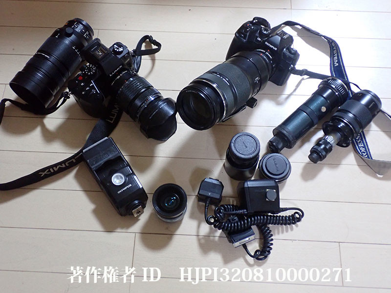 年末恒例の今年使ったカメラたちk