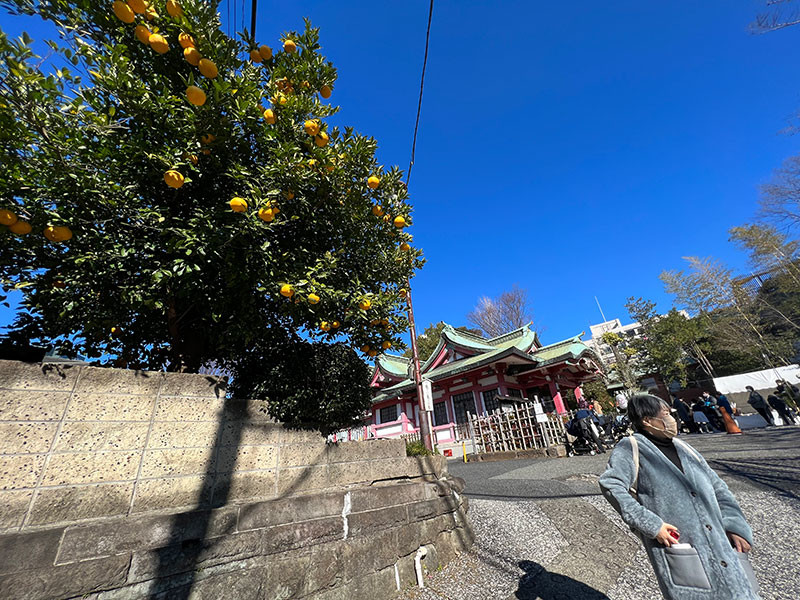 市谷亀岡八幡宮