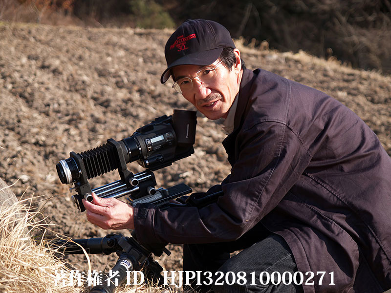 ベローズを使っての撮影