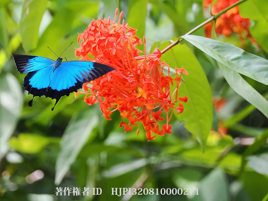 今日はギャラリートーク