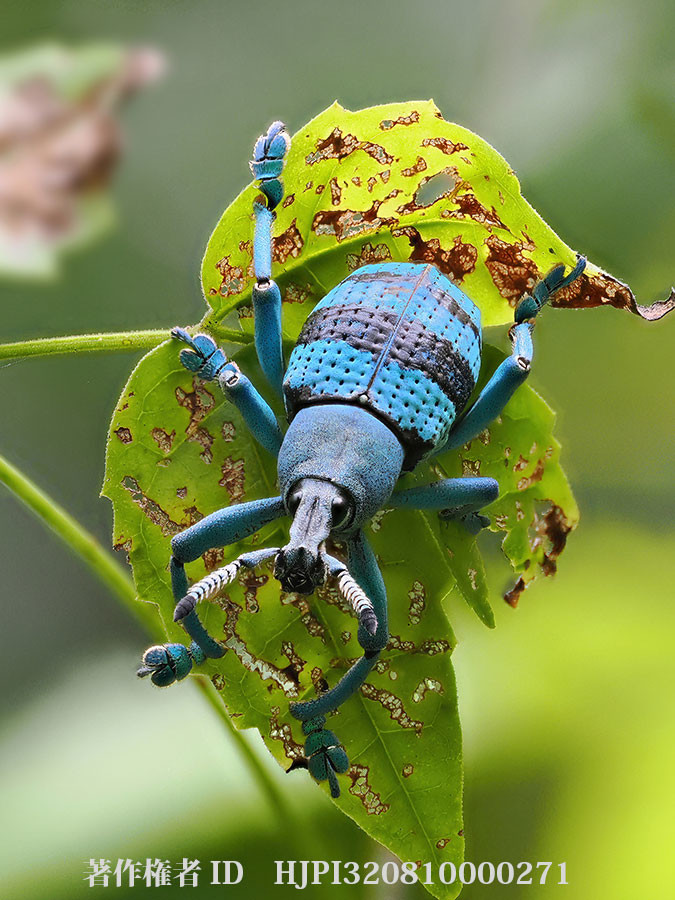写真展は最終日