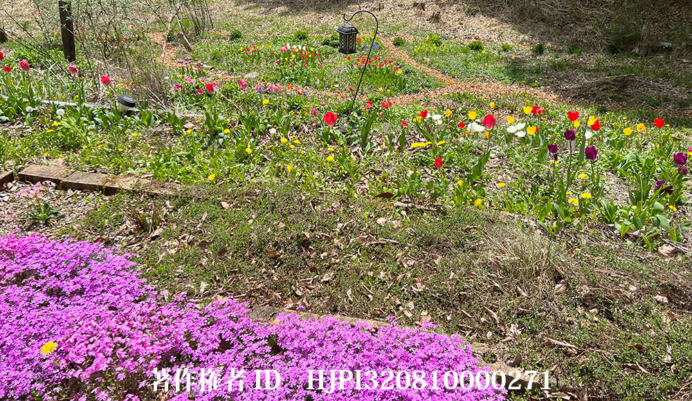 カラマツチップを花壇の道に撒いた