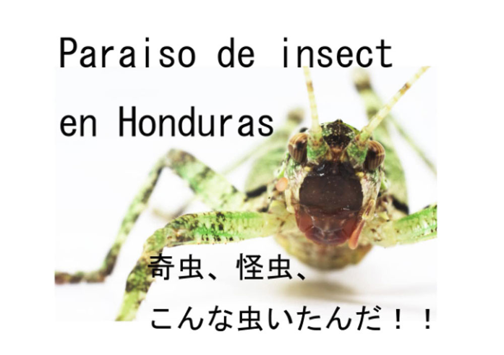 及川義明さんが写真集を出された