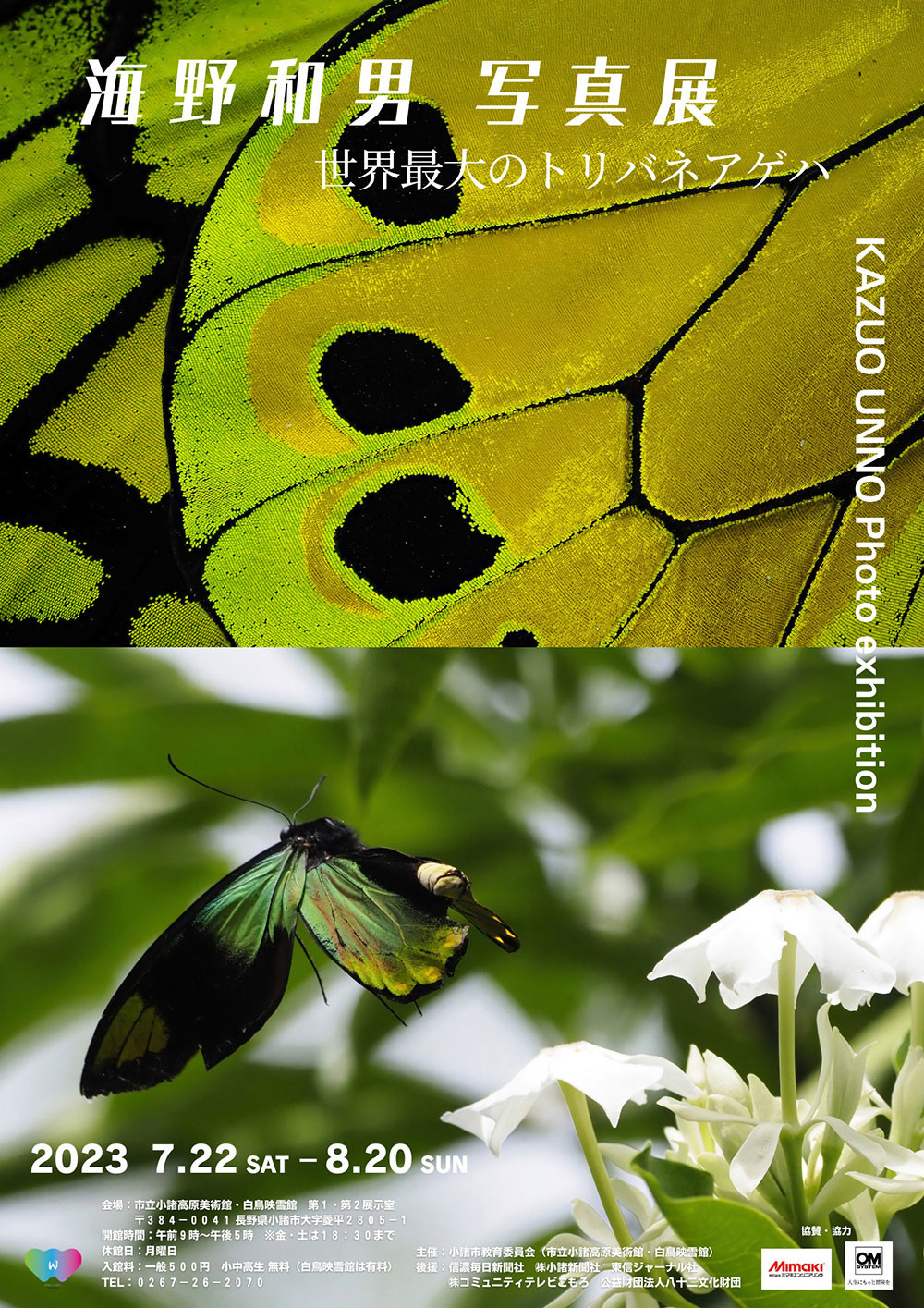 夏の昆虫写真展のお知らせ