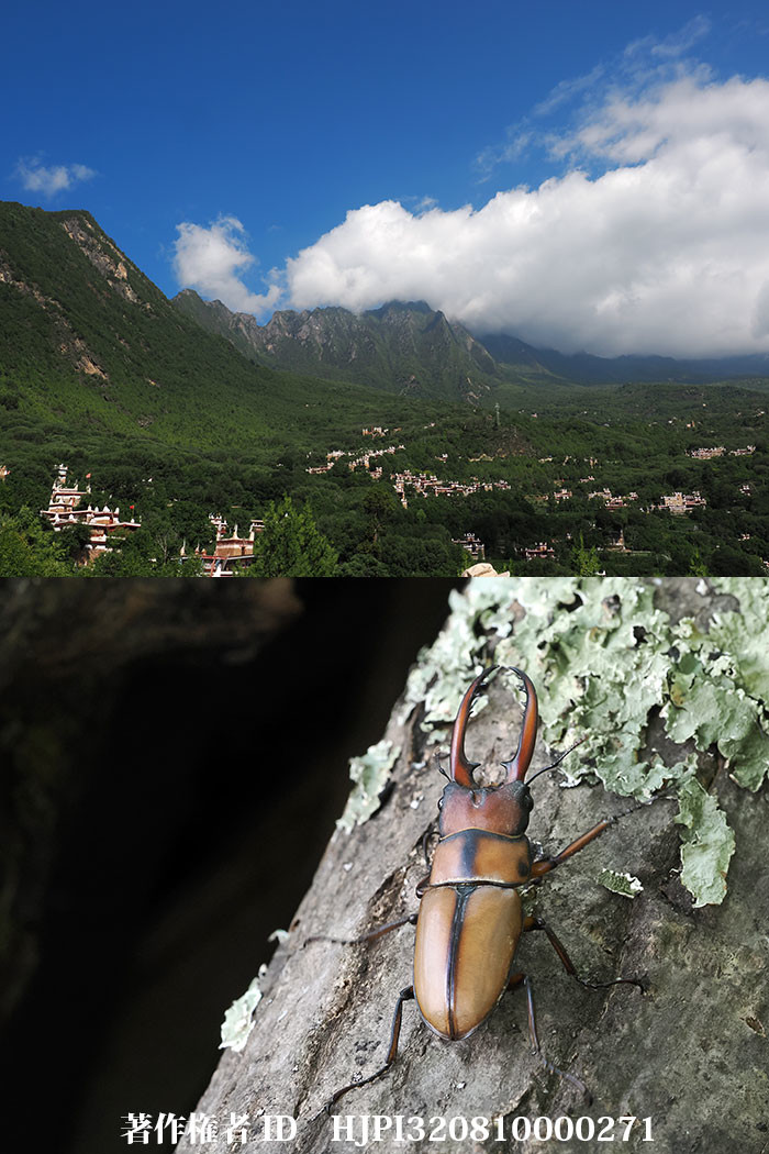 東チベット、雲南省撮影旅行3日目 丹巴から廉定