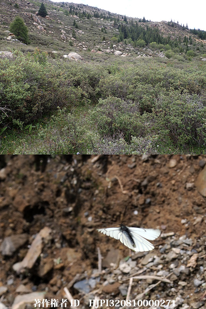 東チベット、雲南省撮影旅行4日目 廉定から郷城