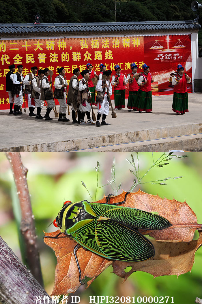 東チベット、雲南省撮影旅行8日目　維西から塔城