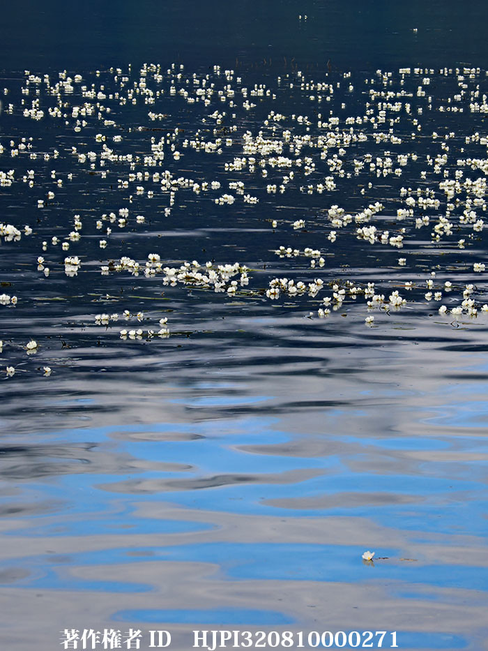 東チベット、雲南省撮影旅行11日目　麗江から瀘沽湖