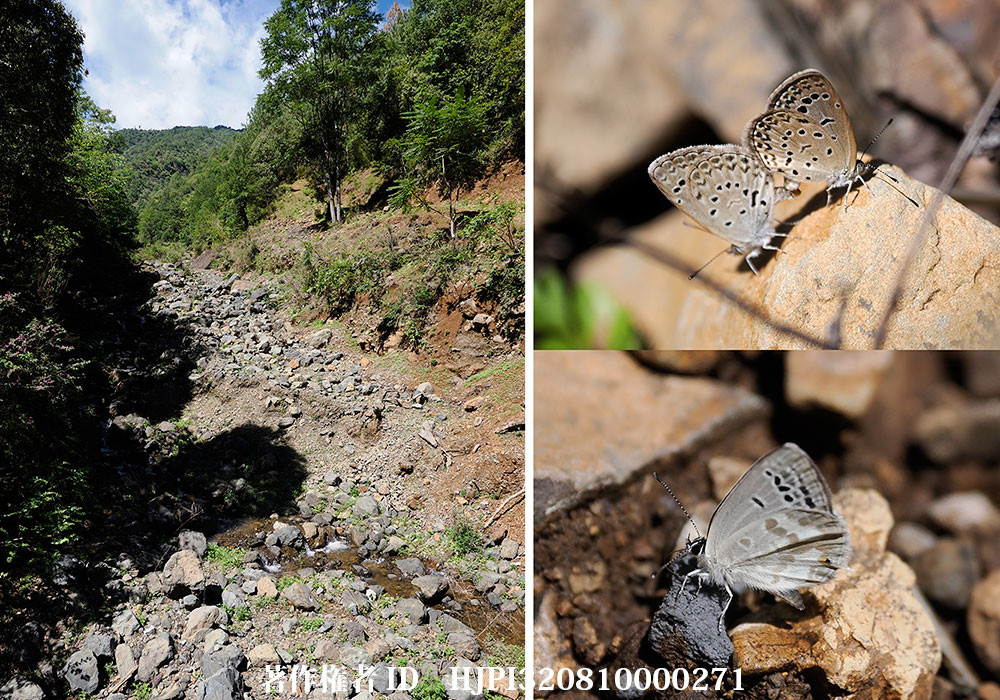 東チベット、雲南省撮影旅行1２日目　瀘沽湖から西昌