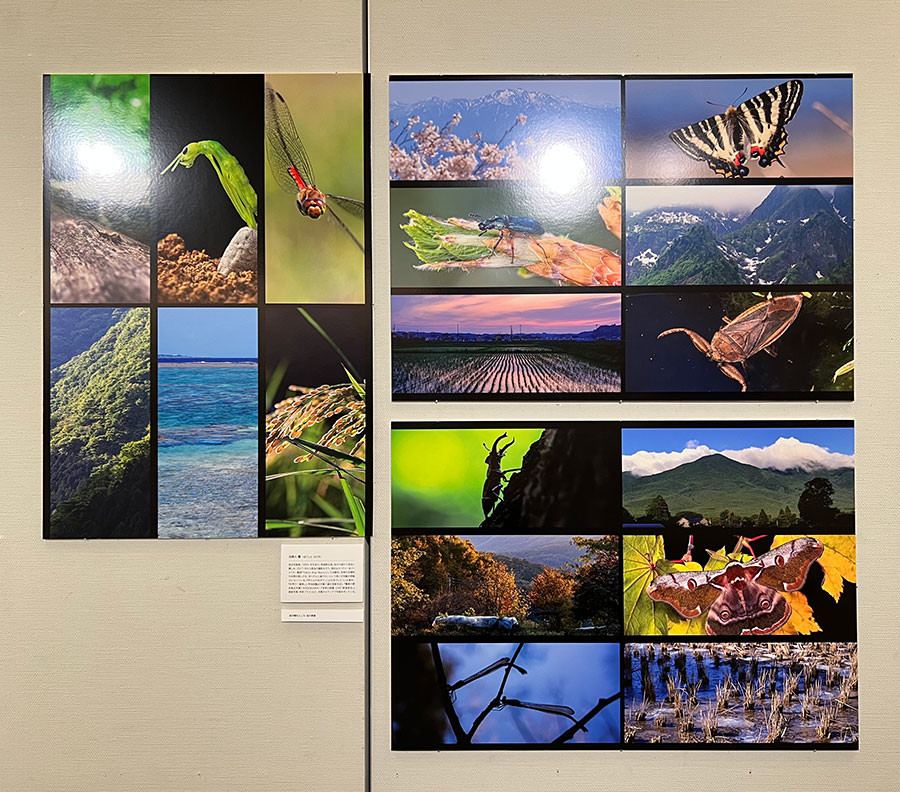 Next Generationの作者　法師人 響