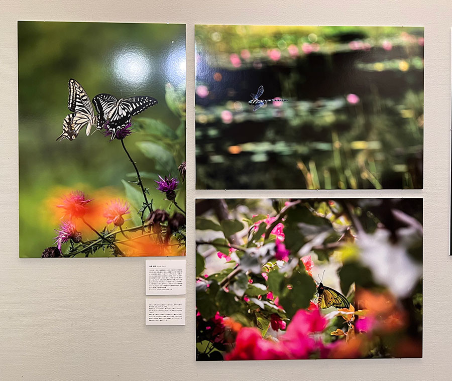 Next Generationの作者　高橋直暉