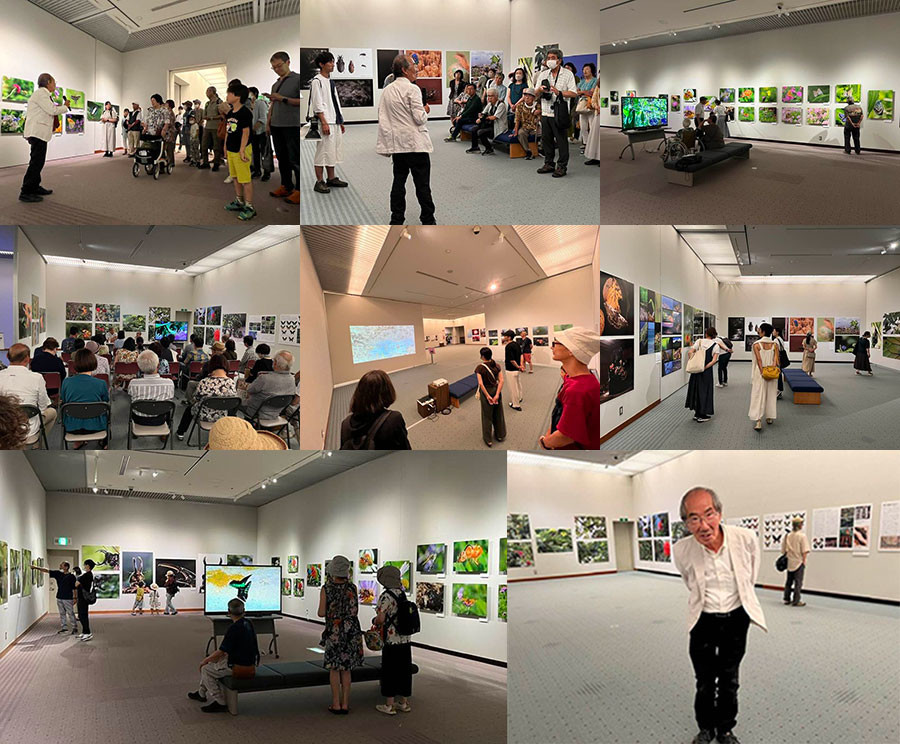 今年の小諸高原美術館での写真展総括