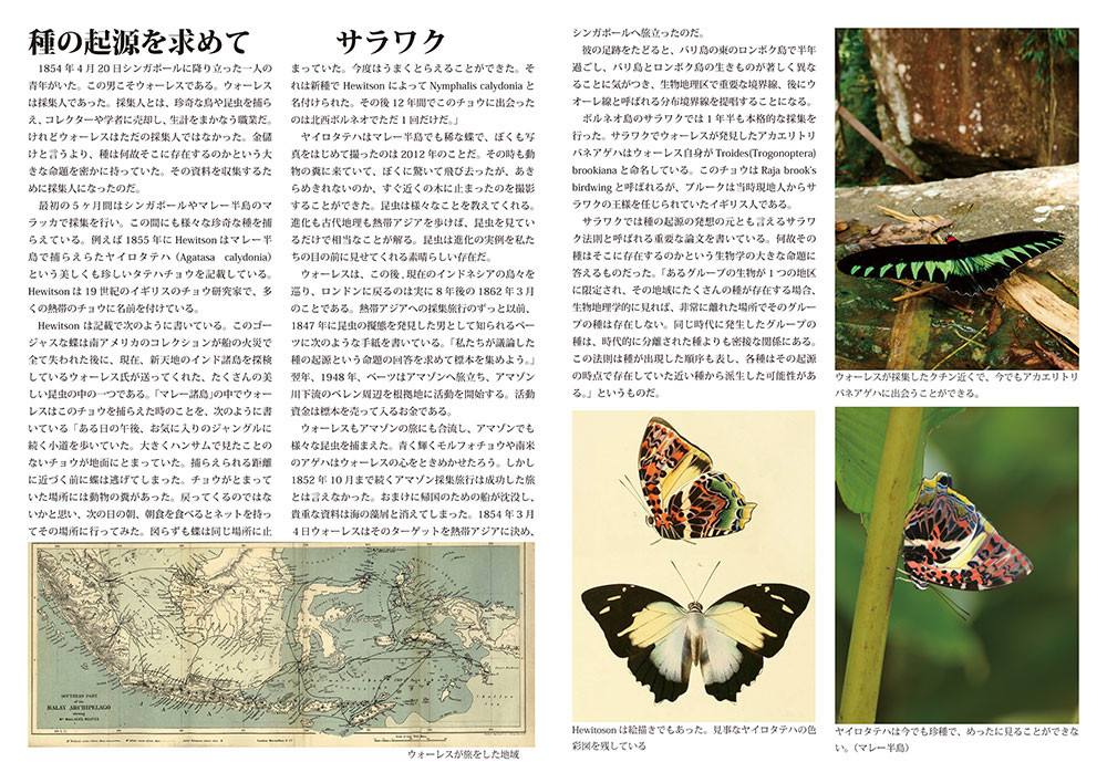 小諸写真展で展示した写真7（種の起源を求めて）