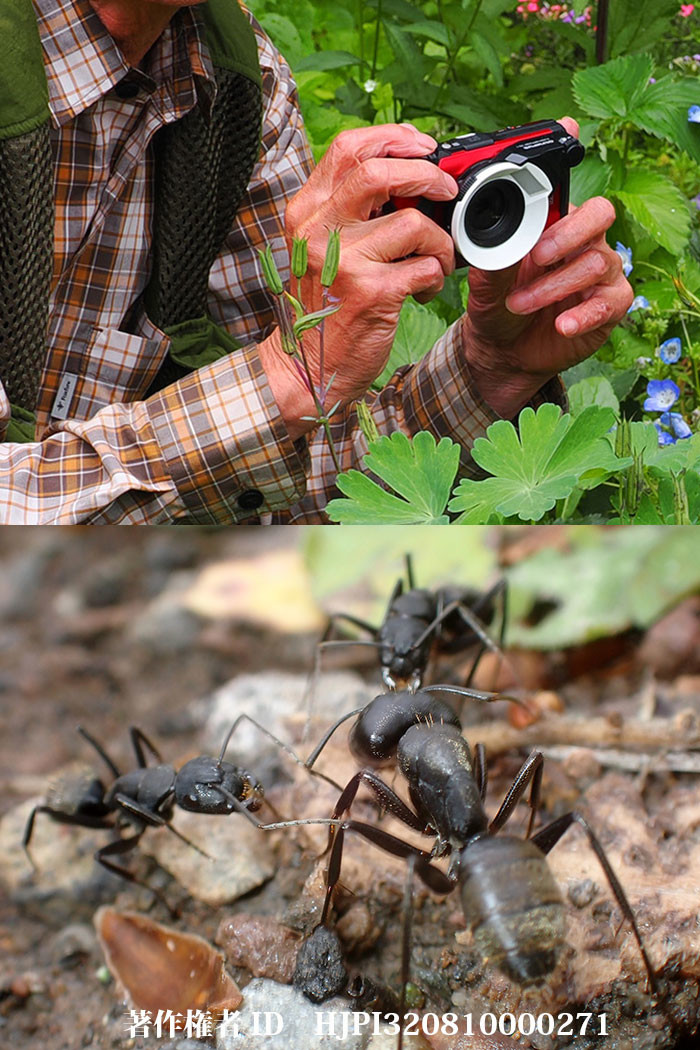 自然観察に最強のTG7発売