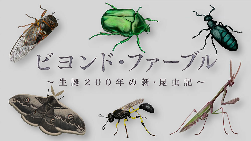 『ビヨンド・ファーブル～生誕200年の新・昆虫記～』
