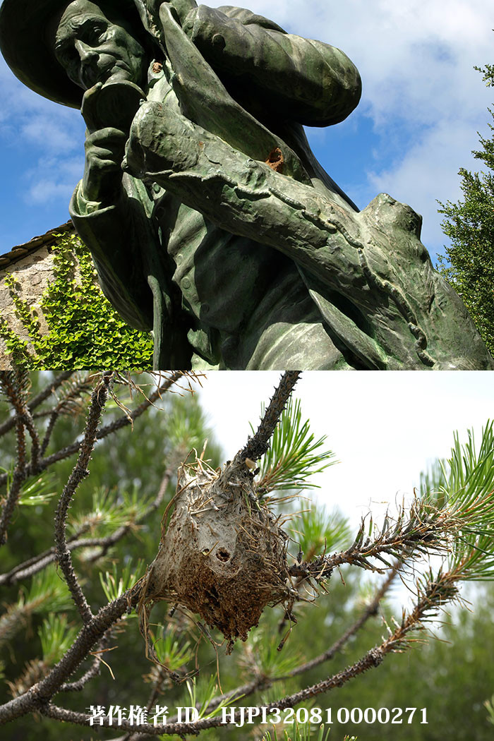 マツノギョウレツケムシ（ファーブル昆虫記の虫たち23）